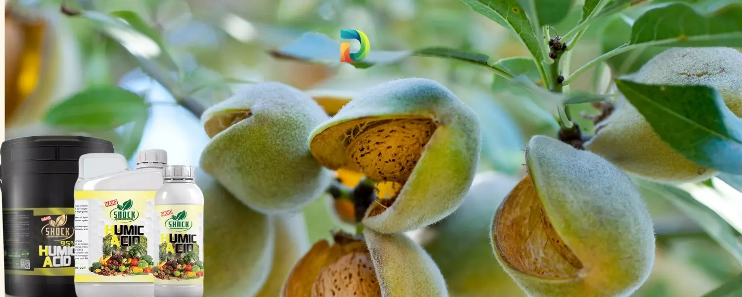 کود هیومیک اسید شوک بهترین کود برای درخت بادام
